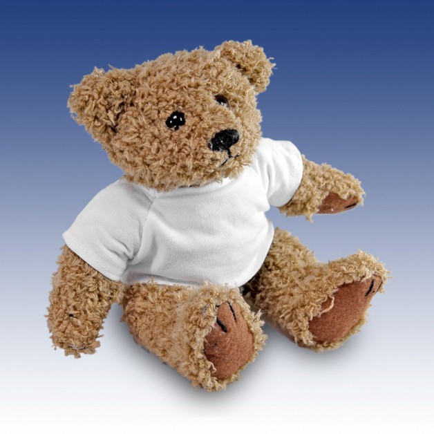 Teddy  Bear 