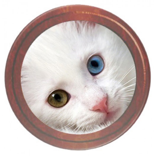 Round Framed Coaster