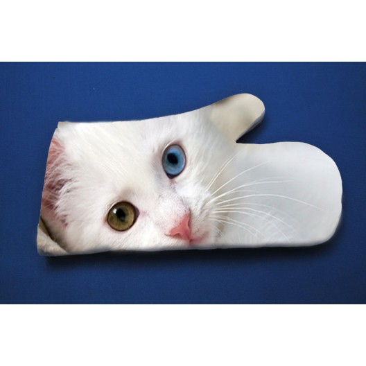 Oven Glove
